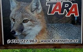 Pension Tara
